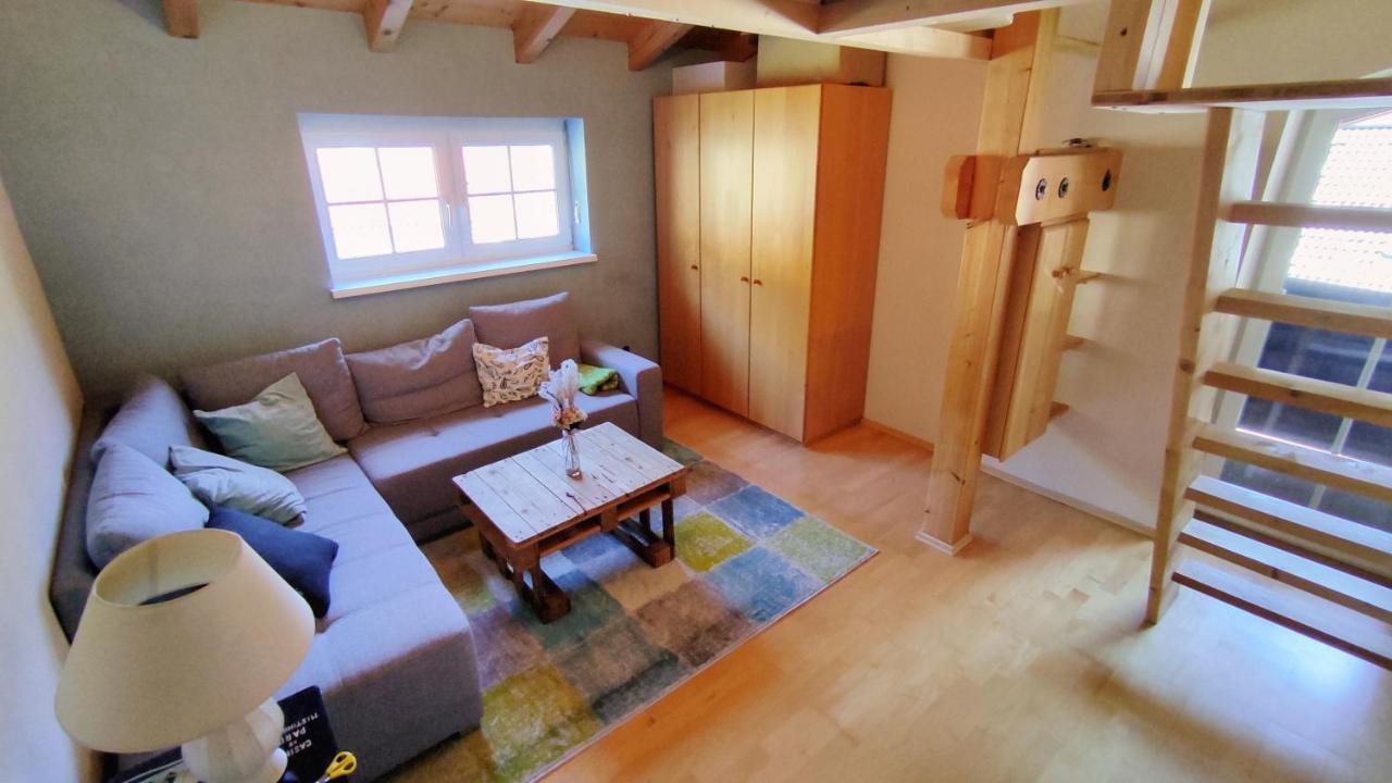 Ferien Apartment - Pure Mountain バードガシュタイン エクステリア 写真